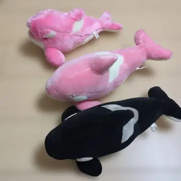 카모가와 씨월드 돌고래 범고래 봉제 인형 묶음 판매