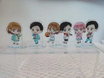 시카노 치나츠, 초노 히나 아크릴 스탠드 5개 세트 흠집 없음