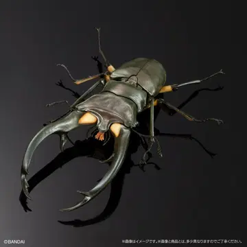 생물대도감 어드밴스 수피받침대(중) 에라푸스호소아카사슴벌레 그린