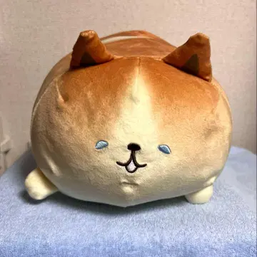 이스트켄. 코겟 큐트 BIG 봉제 인형