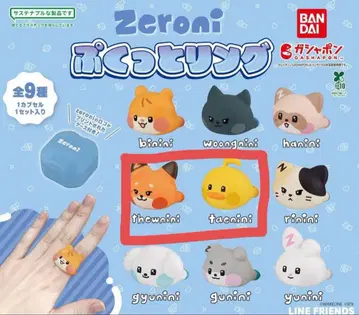 Zeroni  반지 테니니 튀니니 세트