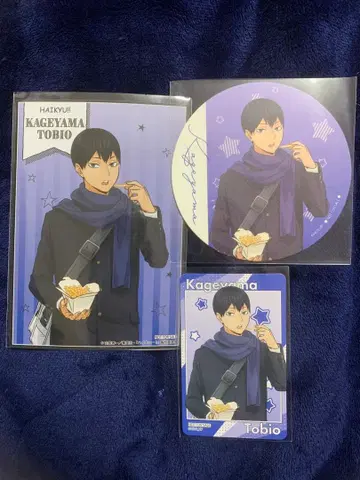 하이큐 코스모 월드 카게야마