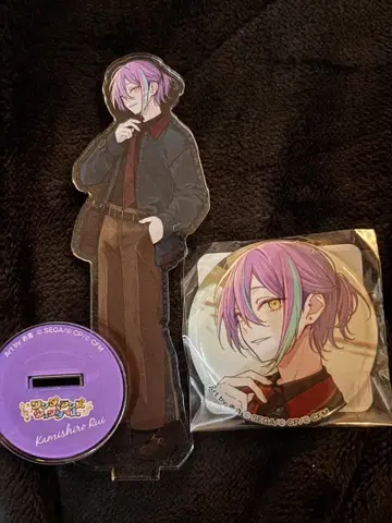 프로젝트 세카이 카미시로 루이 ZOZOTOWN 콜라보