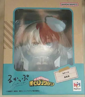 룩업 토도로키 쇼토 나의 히어로 아카데미아