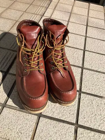 레드윙 / 아이리쉬 세터 / 9106