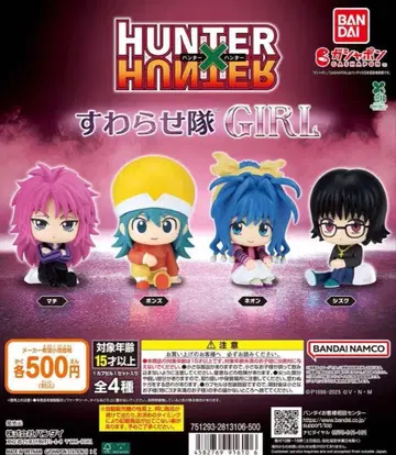 HUNTER x HUNTER 스와라세타이 걸 피규어