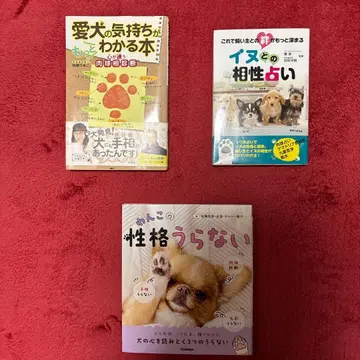 개 손금 도서 [ 전문서 ]