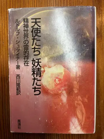 천사들과 요정들 정신세계의 영적 존재 루돌프 슈타이너