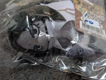 해적 후사타로 골든 카무이 포제 포제 누이