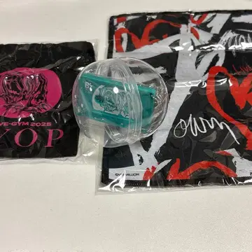 B'z LIVE-GYM 2025 -FYOP- 가챠 12/6 카세트 참 외