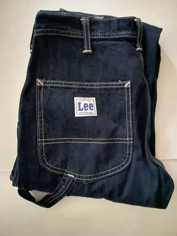 Lee 페인터 팬츠