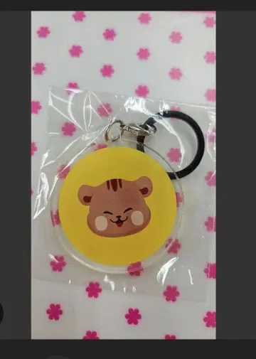 ONEUS 소호 엄브렐라 마커