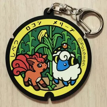 포켓몬 도감 라버 키링 포켓몬go 포켓몬 홋카이도 로토무 멜리