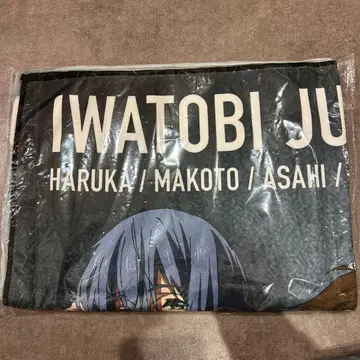 하이 스피드! 극세사 BIG 타월