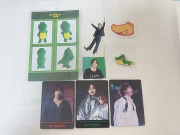 TravisJapan 나카무라 카이토 세트