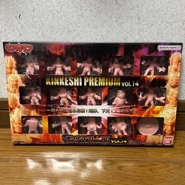킨케시 프리미엄 vol.14 + 초신 4체