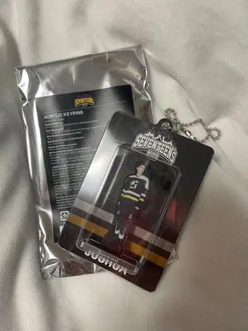 SEVENTEEN HOME2025 아크릴 키링 JOSHUA 조슈아