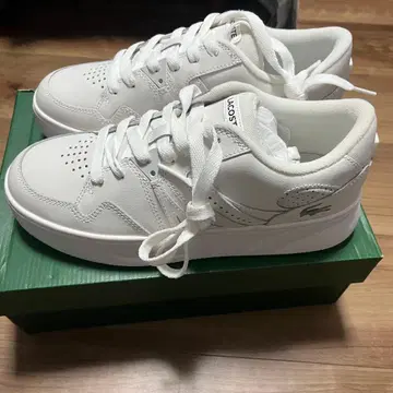 LACOSTE 스니커즈 25.5cm