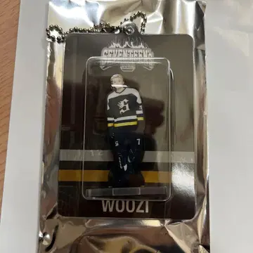 1 SEVENTEEN HOME 2025 아크릴 키링 우지