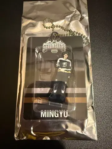 최저가 seventeen home 2025 아크링 키링 민규