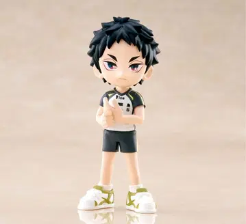 하이큐!! 피규어 파르베르 아카아시 케이지