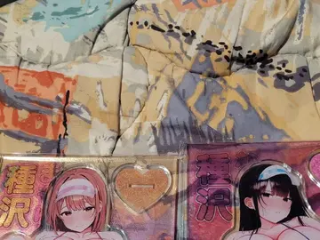 타네자와 나나미 타네자와 마모리 아크릴 스탠드 한정판