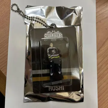 SEVENTEEN 세부치 HOME 2025 아크릴 키링 호시