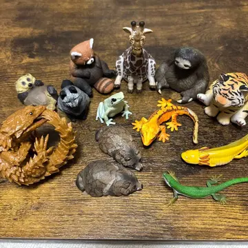 동물 가챠가챠 모음