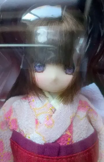 레어*1/6 아이리스 콜렉트 푸치 경하 신년 2026 미라 Mira