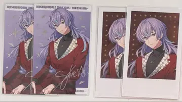 호시미치 쇼 히로시마 폴라로이드 레어 노멀 R N