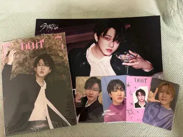 Stray Kids DO IT 아코디언 트레이딩 카드 창빈 플라이어