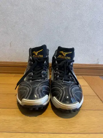 Mizuno 트레이닝 슈즈 28.0cm