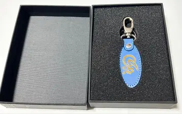 이치가와 단주로 키링