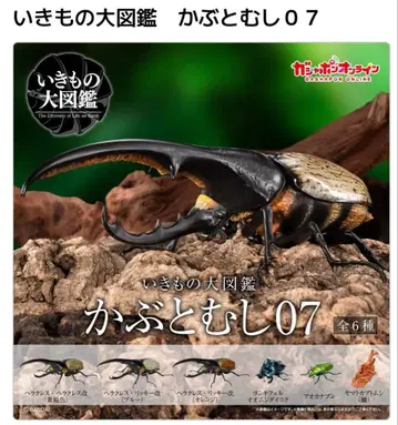 생물대도감 투구벌레 07 온라인 한정판 전 6종 세트