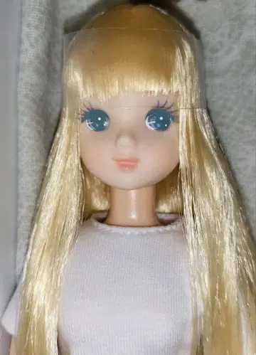 리카짱 캐슬 미이짱