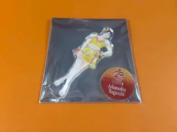 다구치 마나카 AKB48 SPECIAL 복권 아크릴 스탠드 일본 무도관