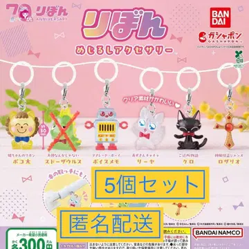 리본 메지루시 액세서리 포코타 리야 보이스 메모 검정 5개 세트