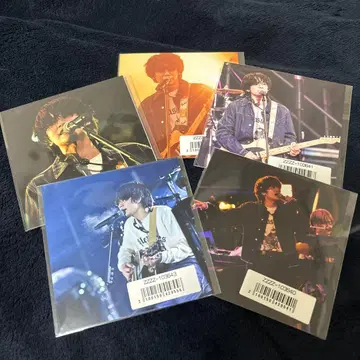 DISH// 코니퍼 포레스트 삼라만상 라이브 사진 5장 세트