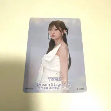 AKB48 무도관 입장 혜택 치바 에리