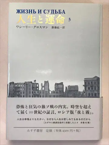 인생과 운명 3 바실리 그로스만 저 류코 사이토 역 미스즈 서점