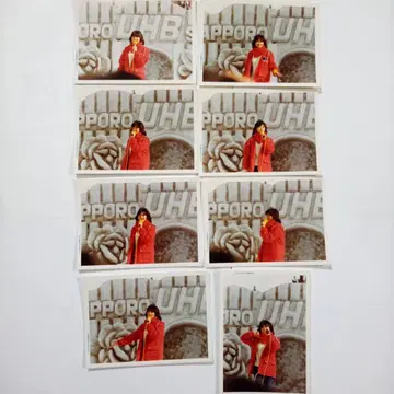 이시카와 히데미 생사진 8장 세트 B