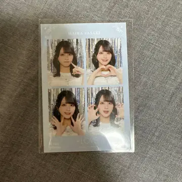 사사키 마이카 4컷 8주년