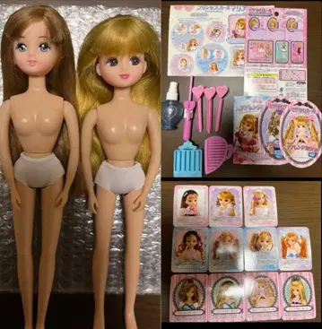 리카짱 마리아짱 2체 프린세스 컬 잡화 & 헤어 스타일링 카드 11장