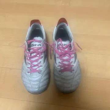 모렐리아 네오 4