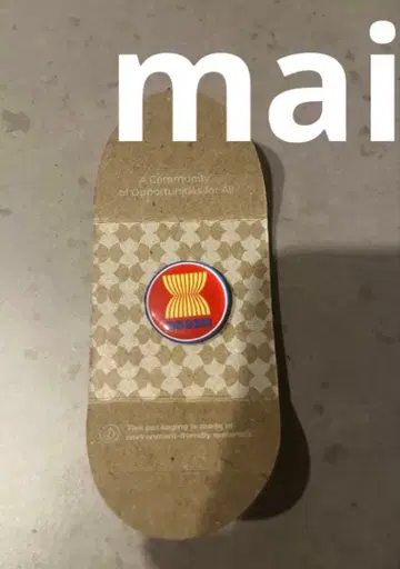 ASEAN 핀 배지 아세안 만국박람회 expo2025