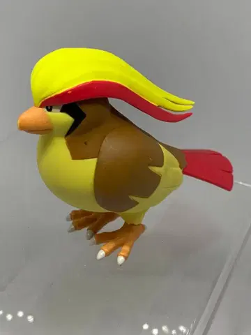 포켓몬 스케일 월드 피죳토