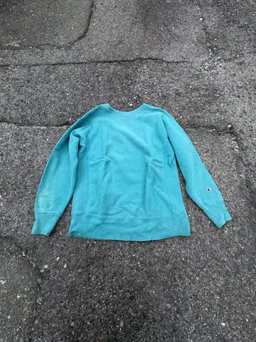 Champion Reverse Weave 맨투맨