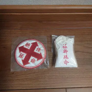 RADWIMPS 부적 와펜