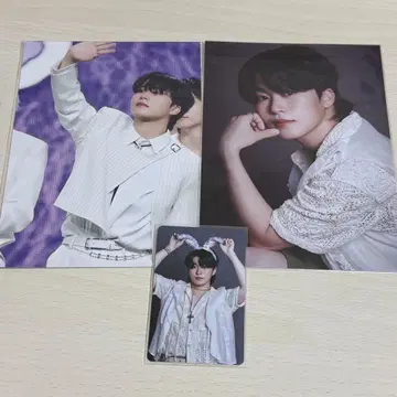 JO1 KCON 토끼 트레이딩 카드 키마타 쇼야