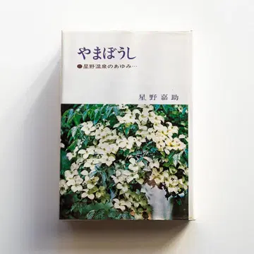 호시노 카스케 [ 야마보시 호시노 온천의 아유미 ] 호시노 리조트